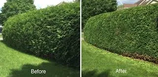 Trusted landscape installation experts serving Elgin, SC - Palmetto Pros Lawn Care