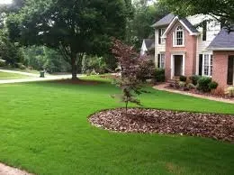 Trusted outdoor landscaping for homes across Elgin, SC - Palmetto Pros Lawn Care