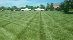 Affordable residential landscaping experts serving Elgin, SC - Palmetto Pros Lawn Care