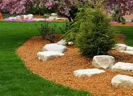 Expert yard cleanup service for outdoor upgrades across Elgin, SC - Palmetto Pros Lawn Care