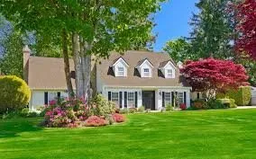 Custom landscaping services for homes across Elgin, SC - Palmetto Pros Lawn Care