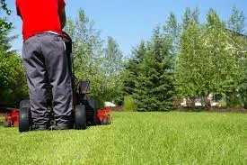 Reliable yard maintenance for year-round maintenance in Elgin, SC by Palmetto Pros Lawn Care