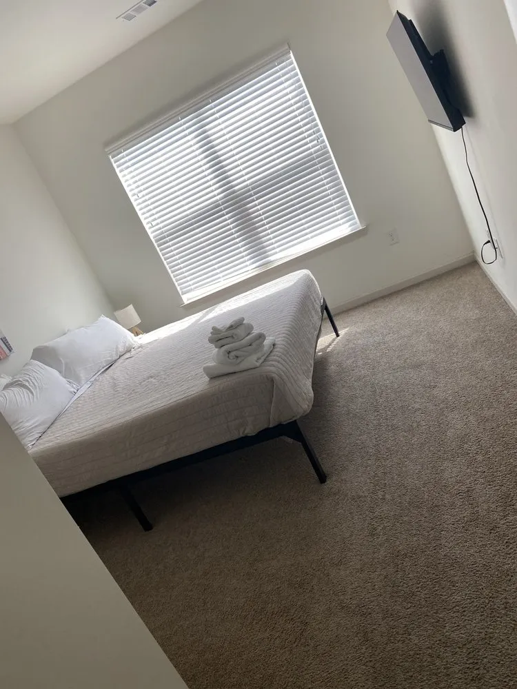 Top-rated yard cleanup service experts serving North Charleston, SC - Palmetto Services Group