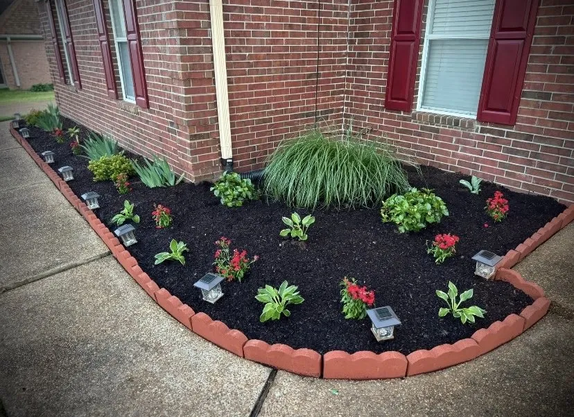 Local lawn care service for year-round maintenance in North Charleston, SC by Palmetto Services Group