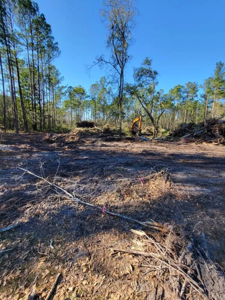 Affordable landscape installation for beautiful yards across Saint George, SC - Palmetto Site Group