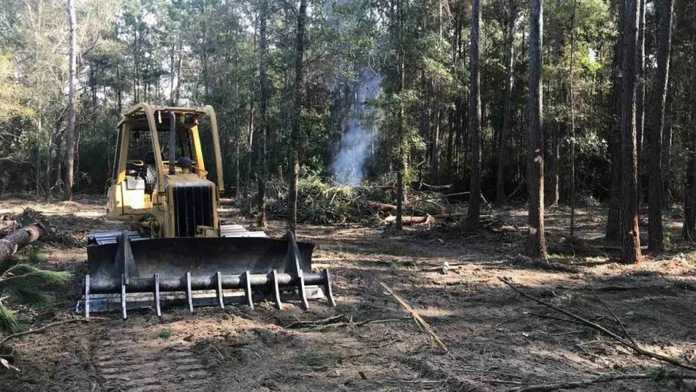 Custom landscape design experts serving Saint George, SC - Palmetto Site Group