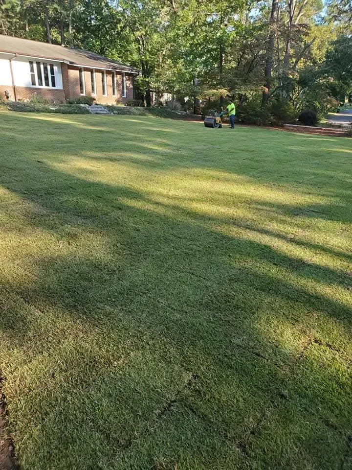 Affordable yard maintenance for homes across Aiken, SC - Palmetto Sod & Irrigation