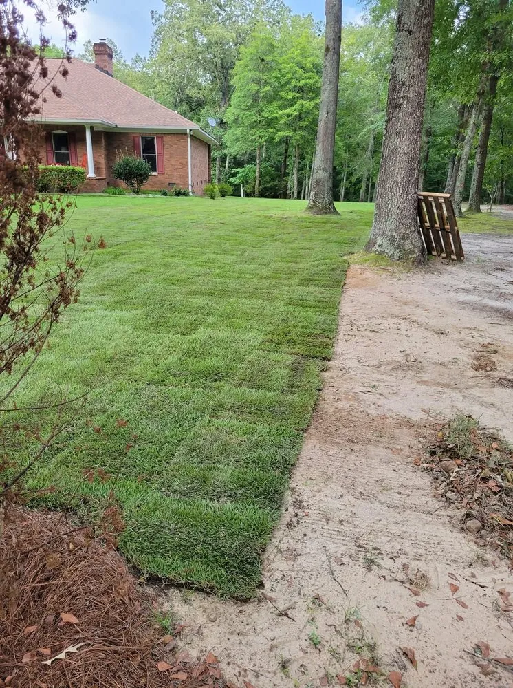 Expert lawn mowing service for year-round maintenance across Aiken, SC - Palmetto Sod & Irrigation