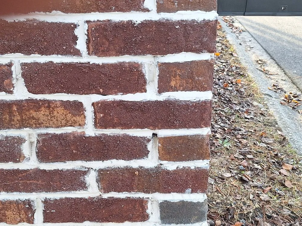 Reliable landscaping services for year-round maintenance in Lexington, SC by Palmetto State Outdoor Living Designs