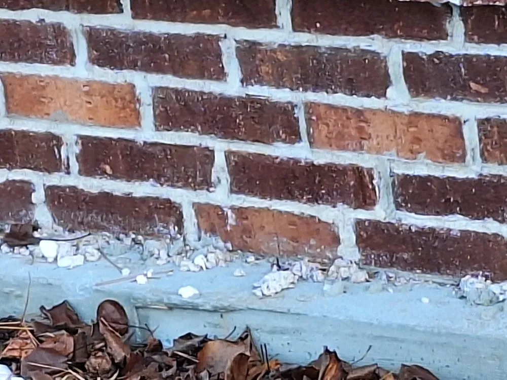 Custom residential landscaping in Lexington, SC - Palmetto State Outdoor Living Designs