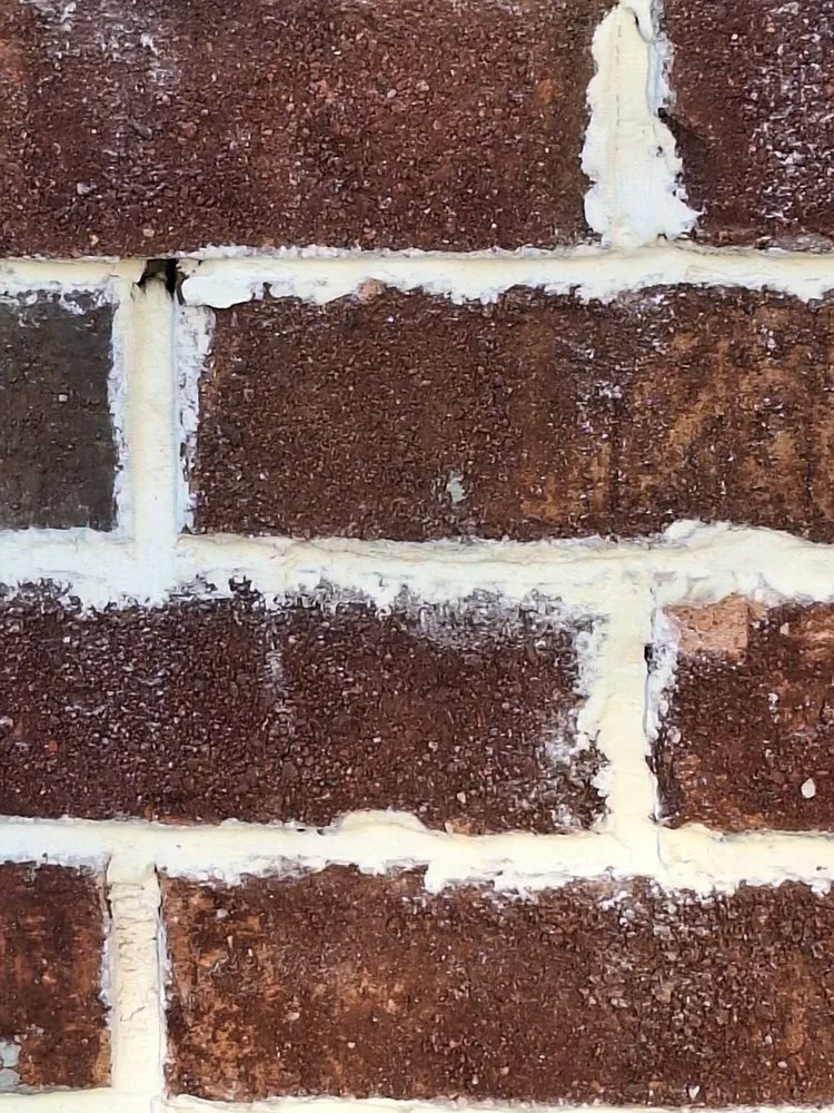 Trusted landscaping services in Lexington, SC by Palmetto State Outdoor Living Designs