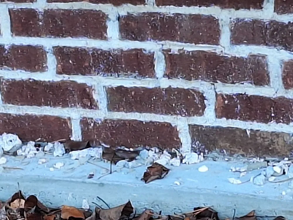 Expert landscape installation near you in Lexington, SC by Palmetto State Outdoor Living Designs