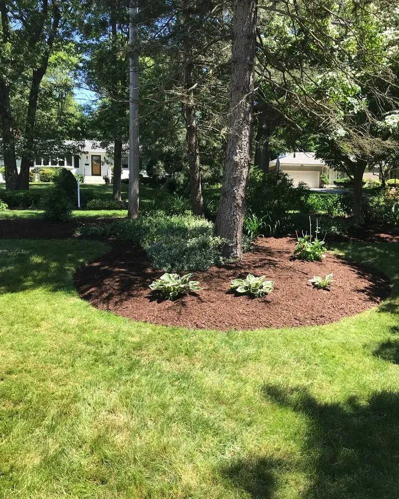 Local outdoor landscaping for year-round maintenance in East haven, CT by Palmieri's Lawn Care