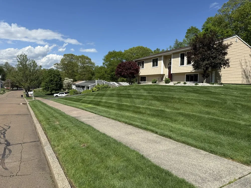 Expert yard cleanup service for residential properties in East haven, CT by Palmieri's Lawn Care