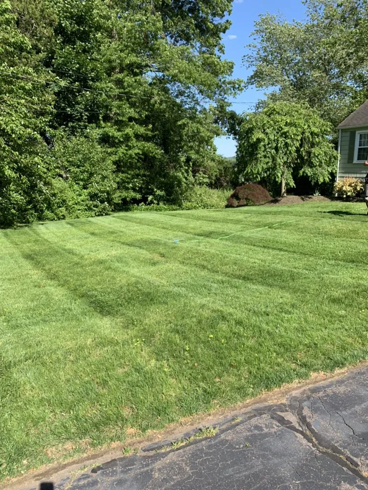 Reliable yard cleanup service for beautiful yards across East haven, CT - Palmieri's Lawn Care