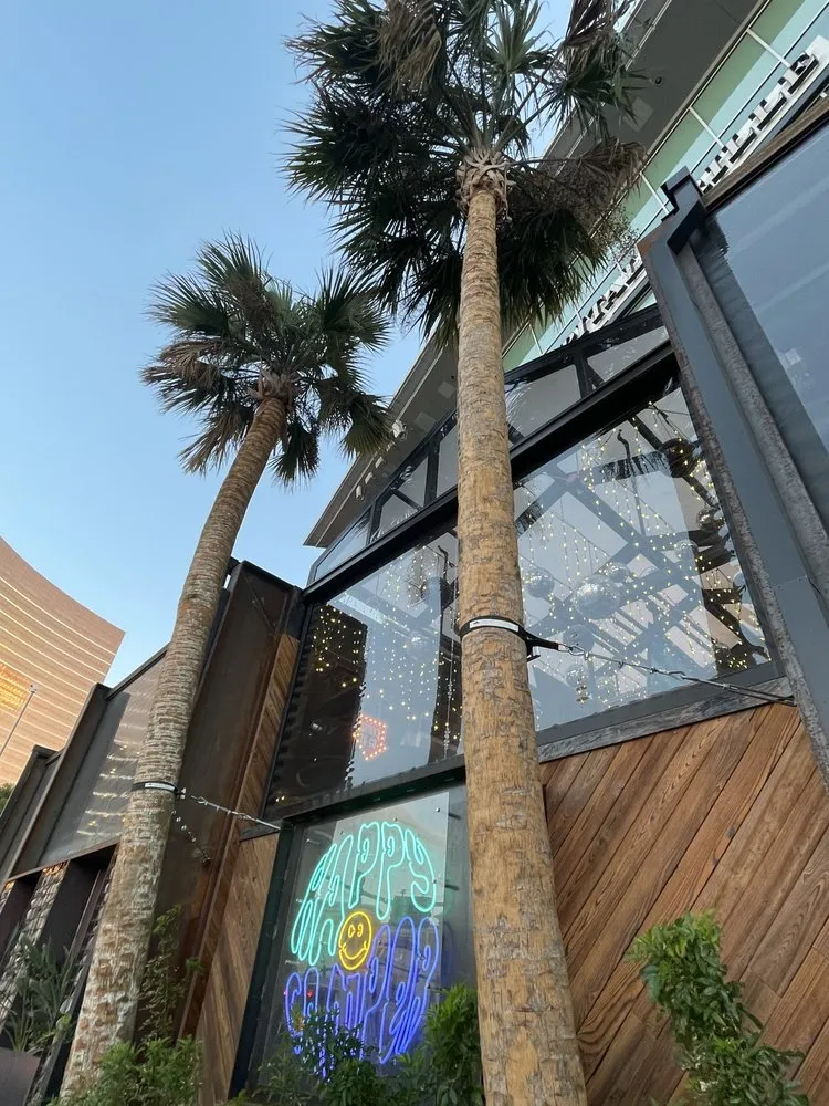 Professional yard cleanup service experts serving Las Vegas, NV - Palms 360