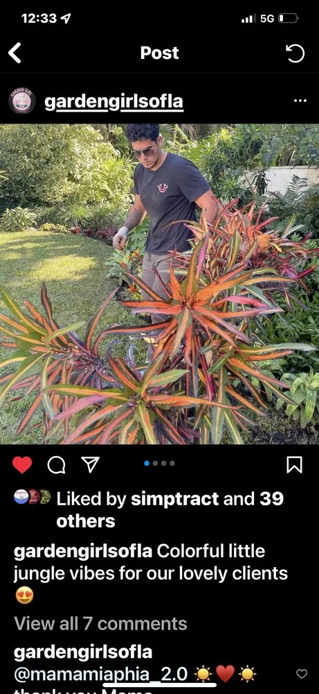 Expert landscaping services in North Miami Beach, FL - Palms And Fronds