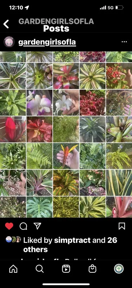 Trusted landscaping services near you across North Miami Beach, FL - Palms And Fronds