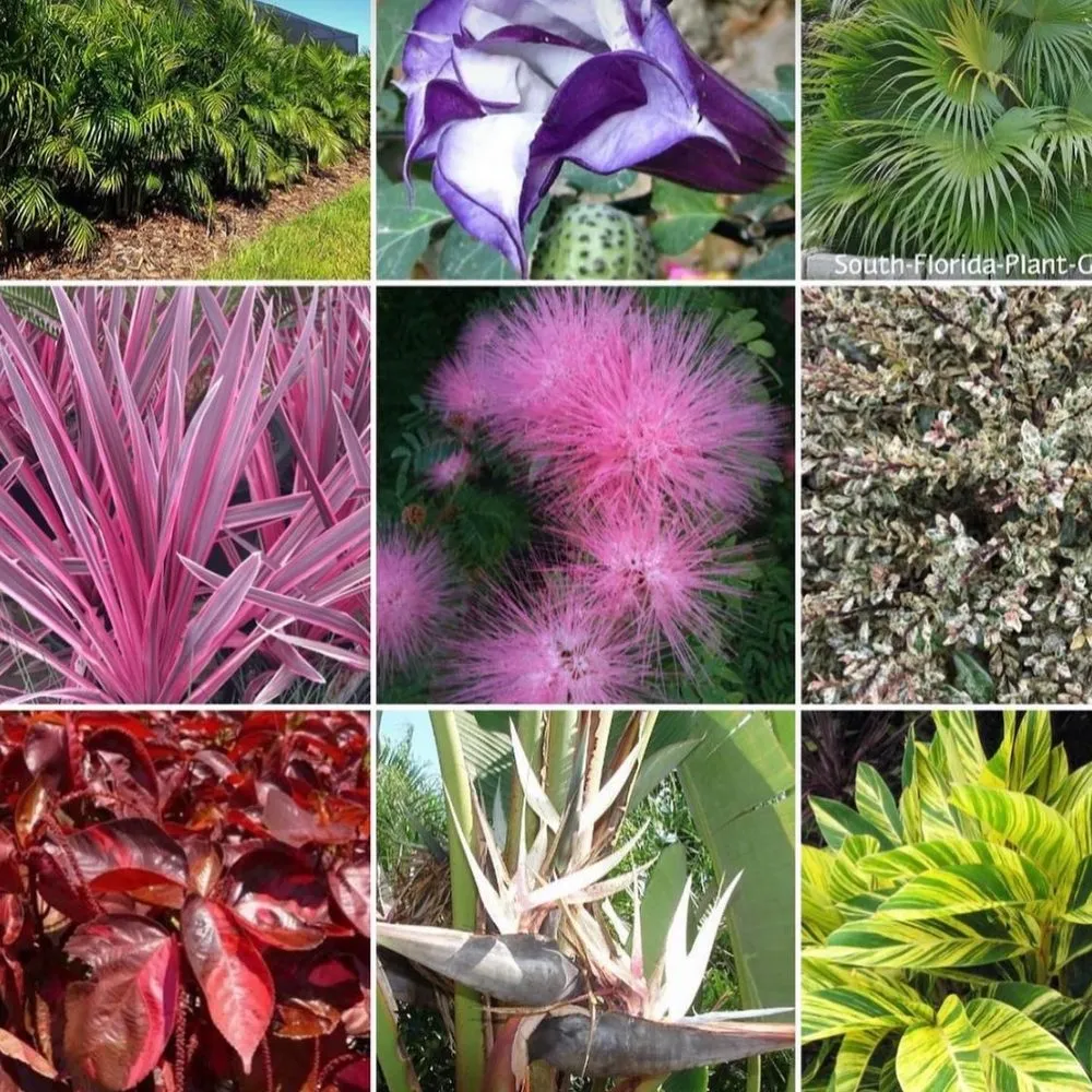 Local outdoor landscaping experts serving North Miami Beach, FL - Palms And Fronds