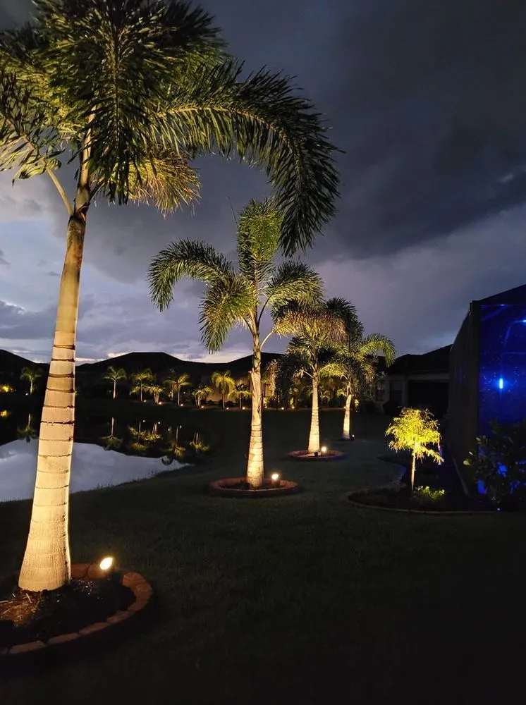 Reliable lawn care service experts serving North Port, FL - Palms Galore & Decor