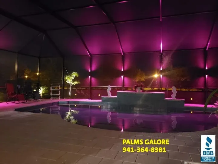 Custom yard cleanup service for outdoor upgrades in North Port, FL by Palms Galore & Decor