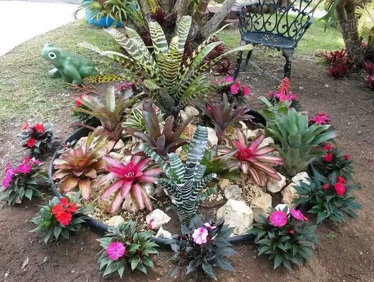 Trusted lawn care service for year-round maintenance across North Port, FL - Palms Galore & Decor