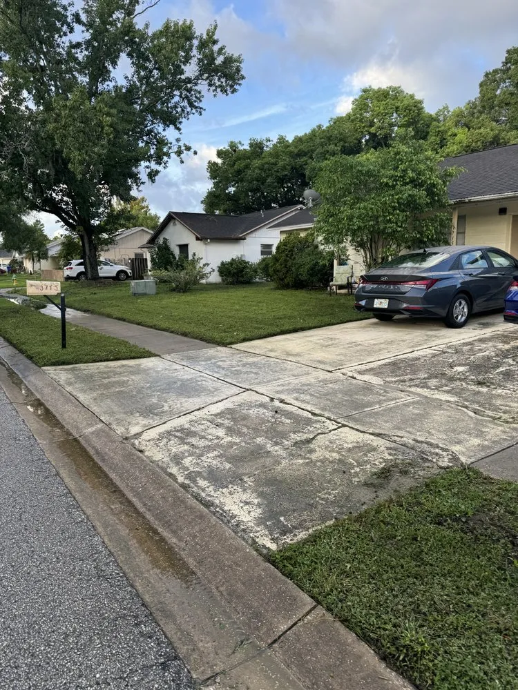 Professional yard cleanup service near you across Tampa, FL - Palms N Shades Landscaping Solutions