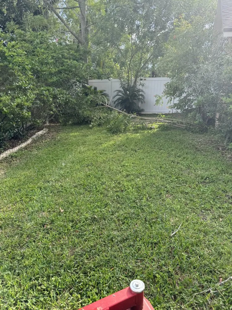 Trusted residential landscaping for residential properties across Tampa, FL - Palms N Shades Landscaping Solutions