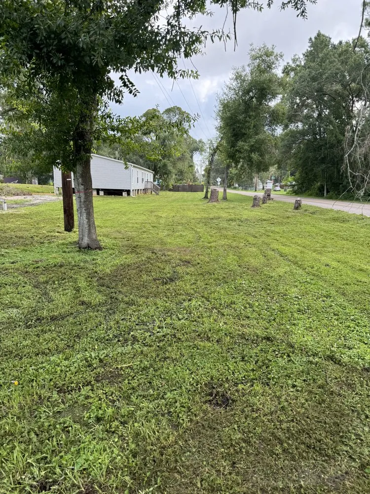 Affordable landscape design in Tampa, FL by Palms N Shades Landscaping Solutions