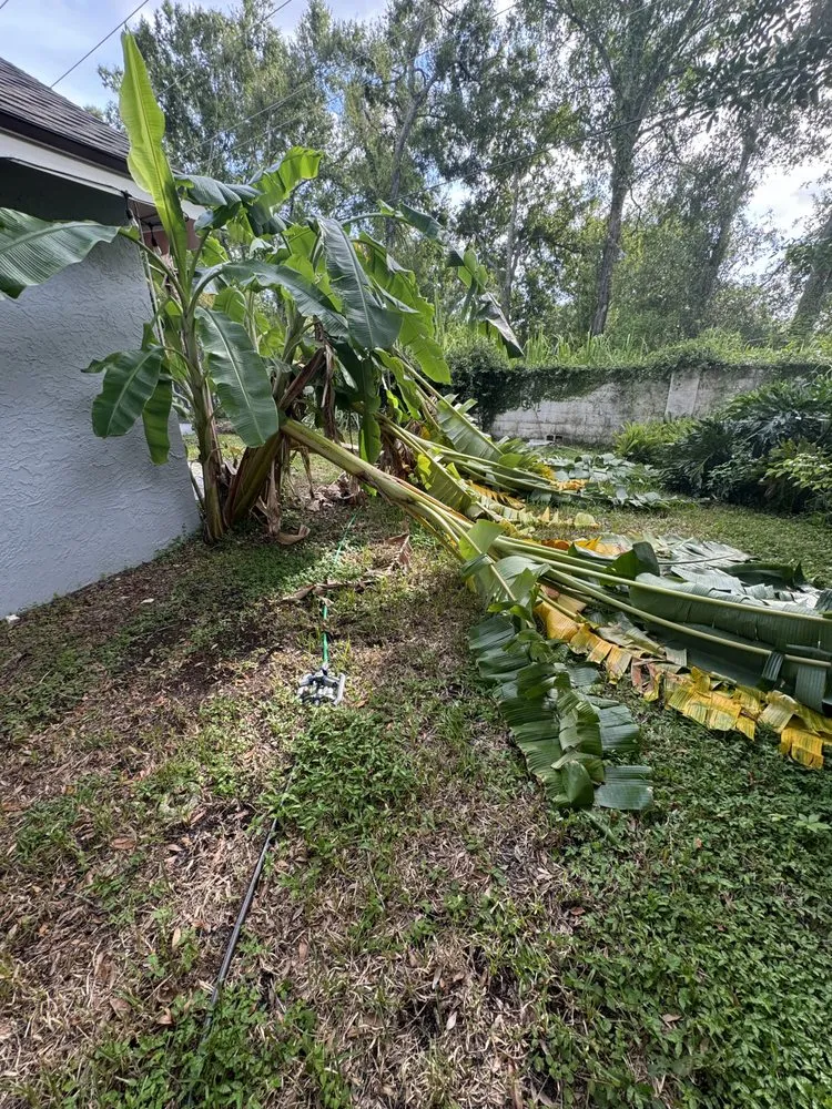 Top-rated landscape design experts serving Tampa, FL - Palms N Shades Landscaping Solutions