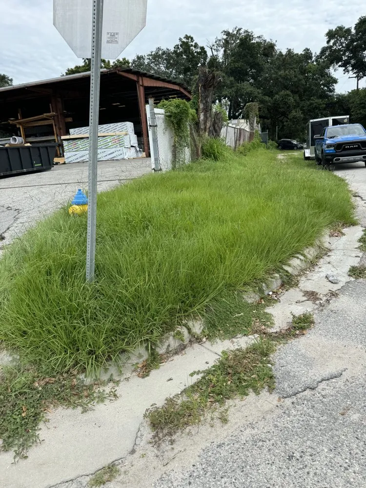 Trusted landscape installation near you across Tampa, FL - Palms N Shades Landscaping Solutions