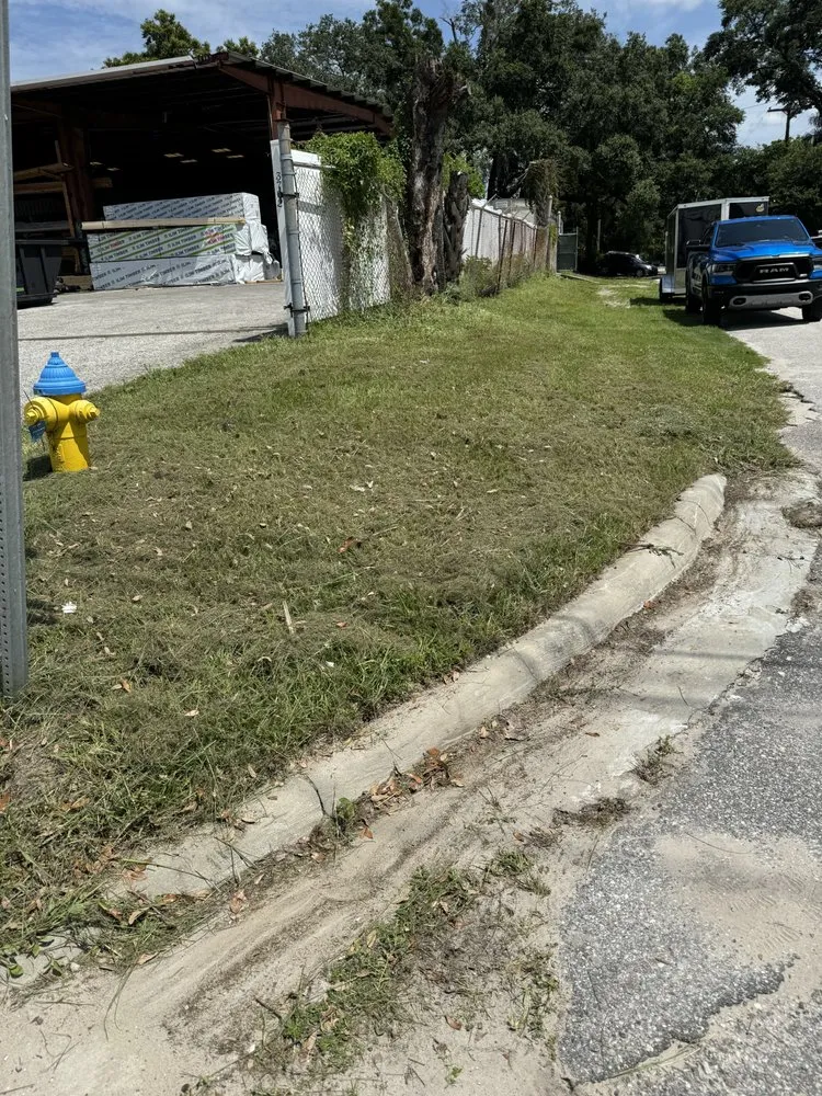 Professional lawn care service for residential properties in Tampa, FL by Palms N Shades Landscaping Solutions