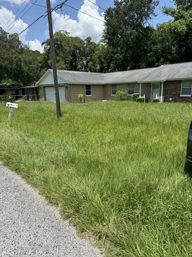 Professional landscape design experts serving Tampa, FL - Palms N Shades Landscaping Solutions