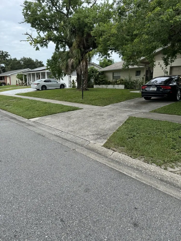 Local landscape design experts serving Tampa, FL - Palms N Shades Landscaping Solutions