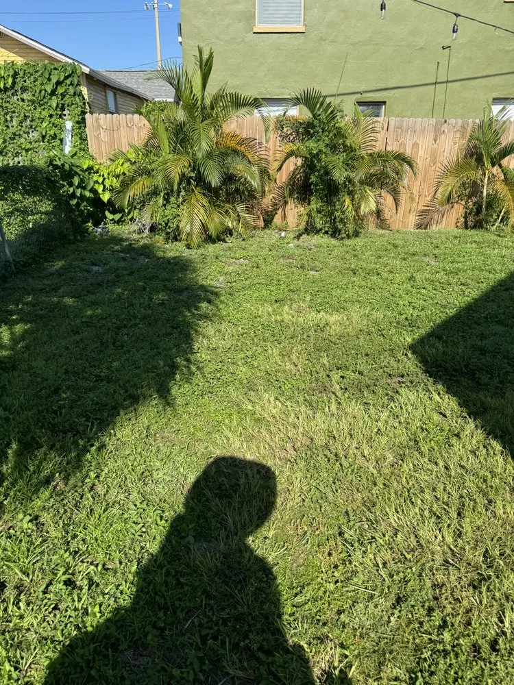 Expert landscape design in Tampa, FL - Palms N Shades Landscaping Solutions