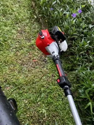 Palms N Shades Landscaping Solutions Logo