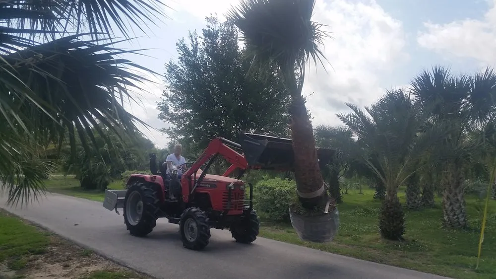 Custom yard cleanup service near you across Winnie, TX - Palms Of Paradise