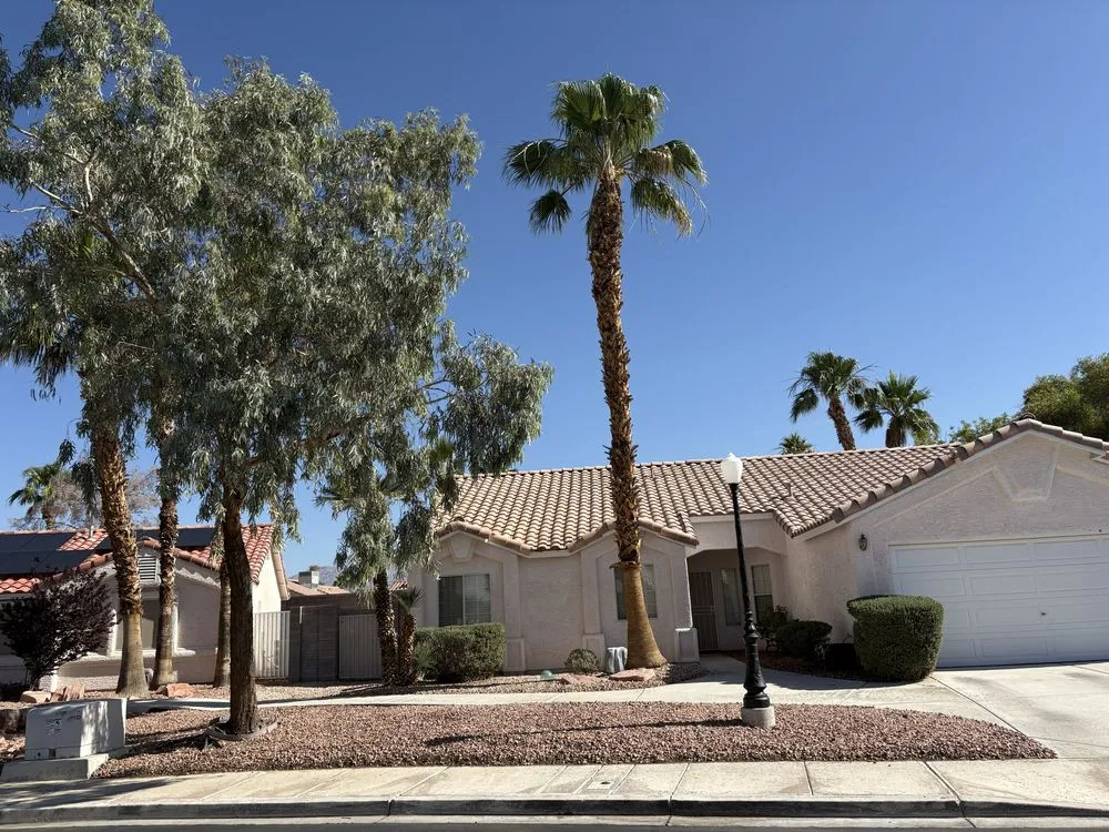 Professional residential landscaping for beautiful yards in Las Vegas, NV by Palms Plus Services
