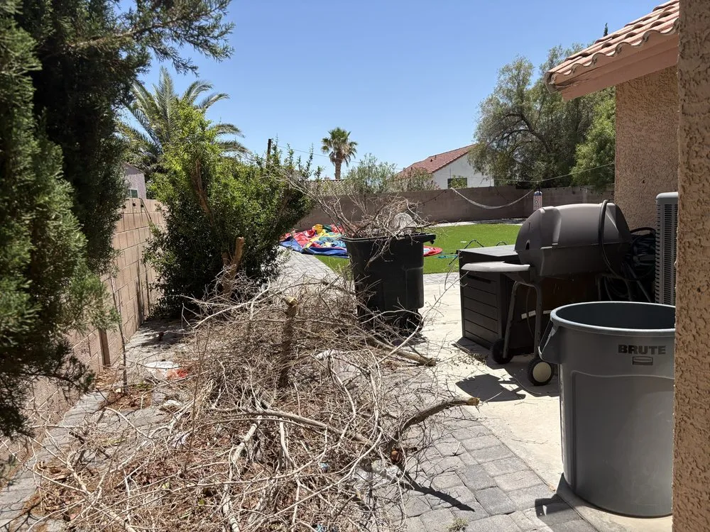 Local lawn mowing service for homes across Las Vegas, NV - Palms Plus Services