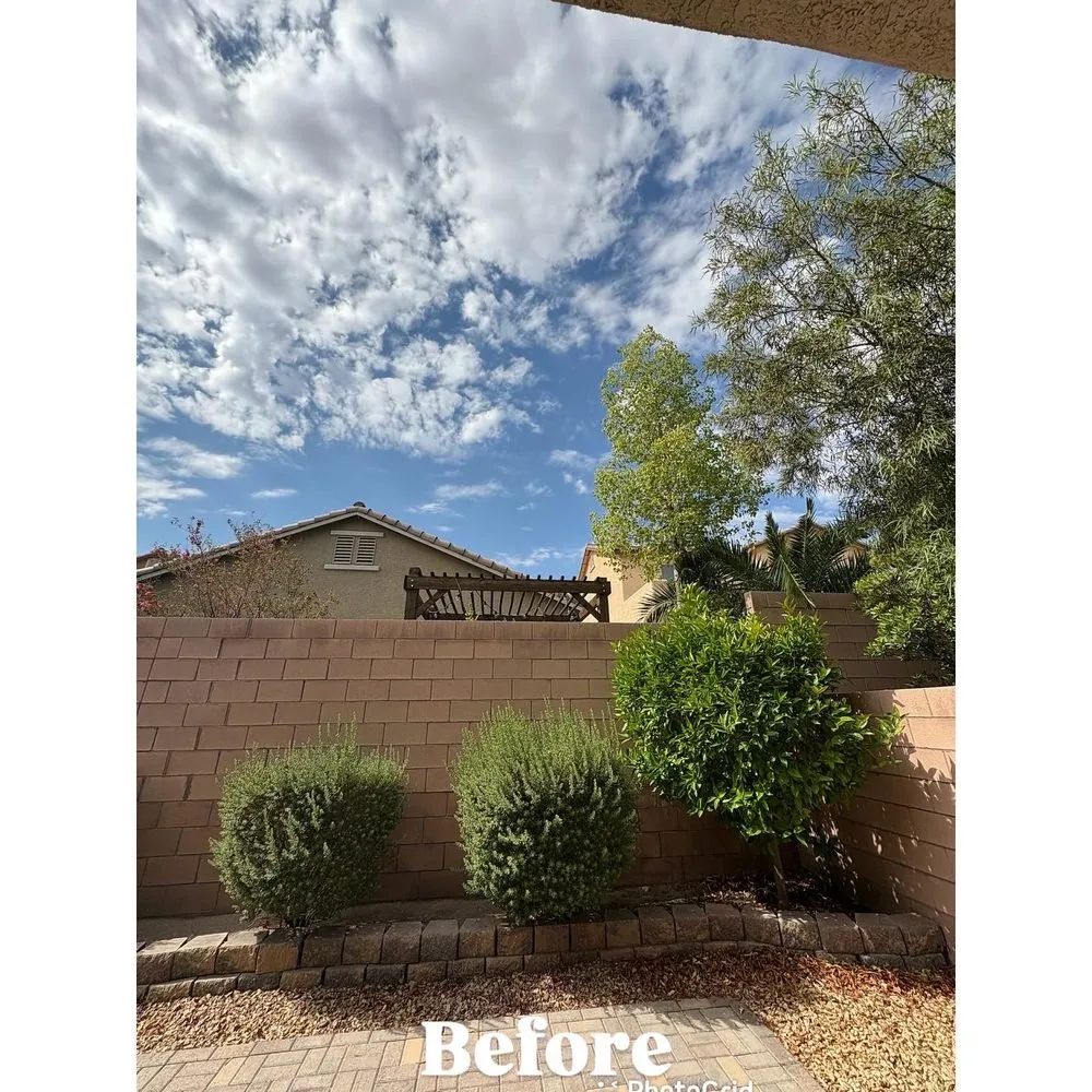 Reliable yard maintenance experts serving Las Vegas, NV - Palms Plus Services