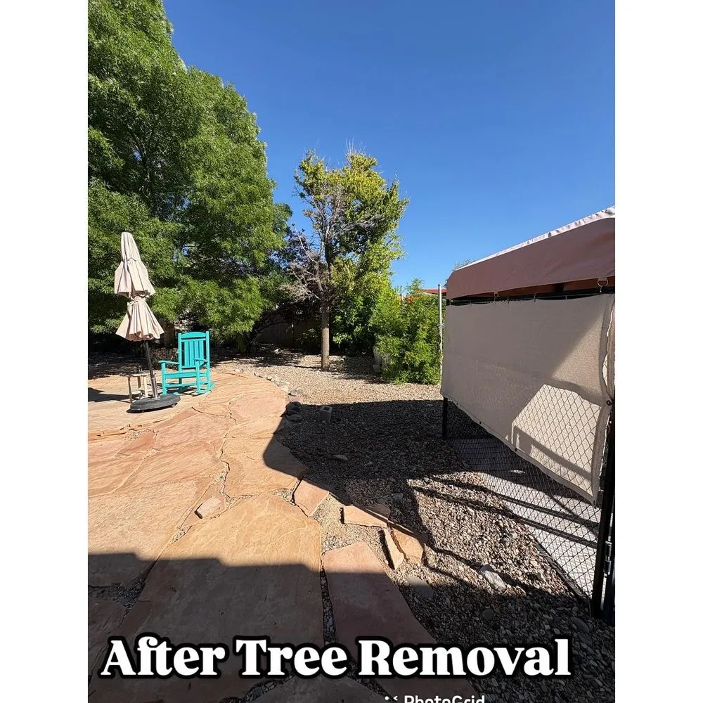 Trusted outdoor landscaping in Las Vegas, NV - Palms Plus Services