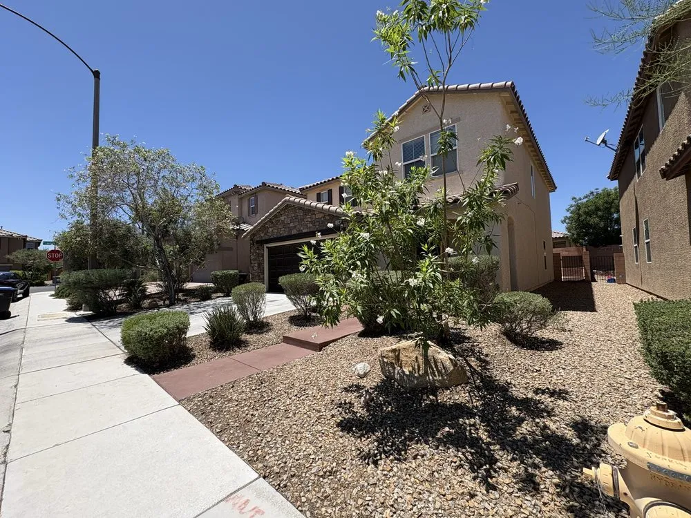 Reliable outdoor landscaping in Las Vegas, NV - Palms Plus Services