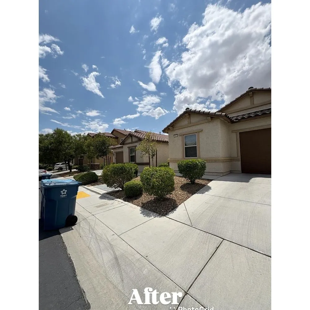 Custom outdoor landscaping experts serving Las Vegas, NV - Palms Plus Services