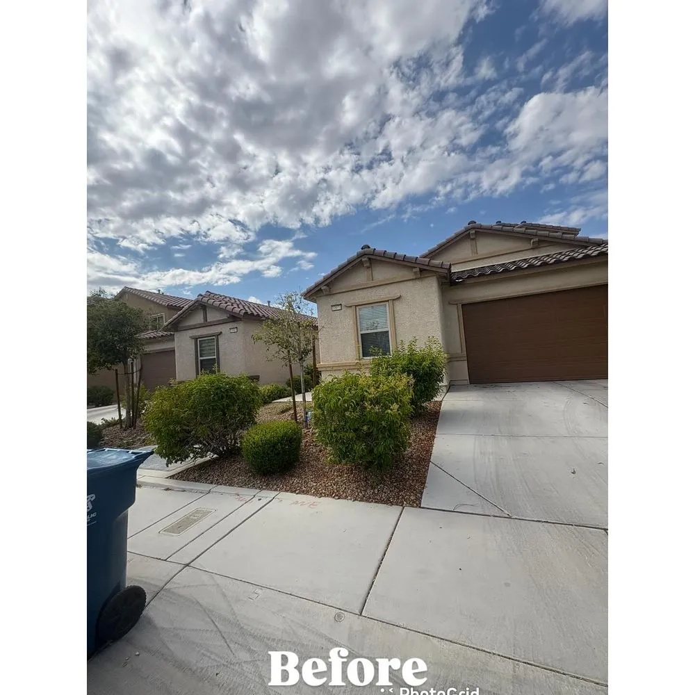 Local landscape installation for beautiful yards across Las Vegas, NV - Palms Plus Services
