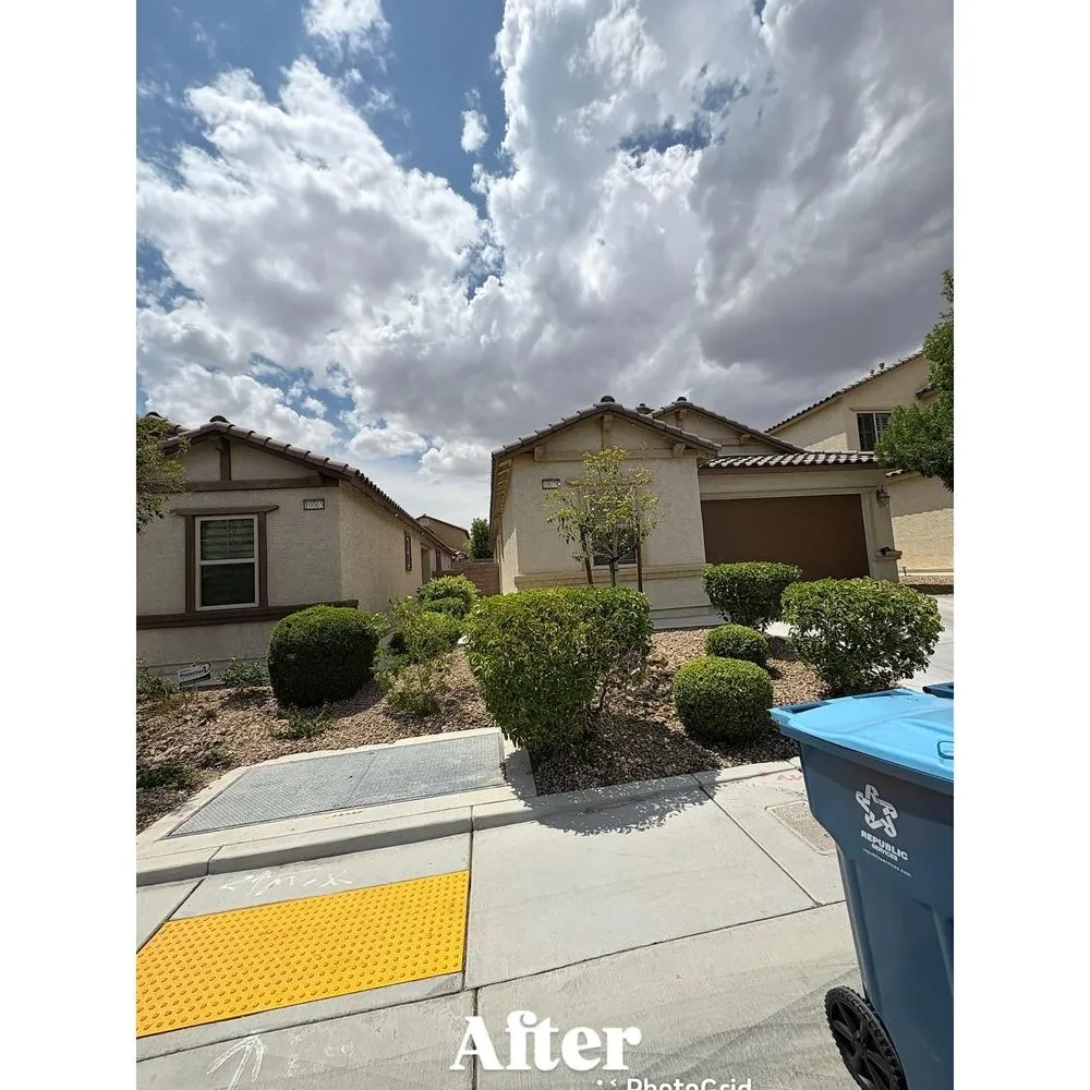 Affordable landscape installation in Las Vegas, NV - Palms Plus Services
