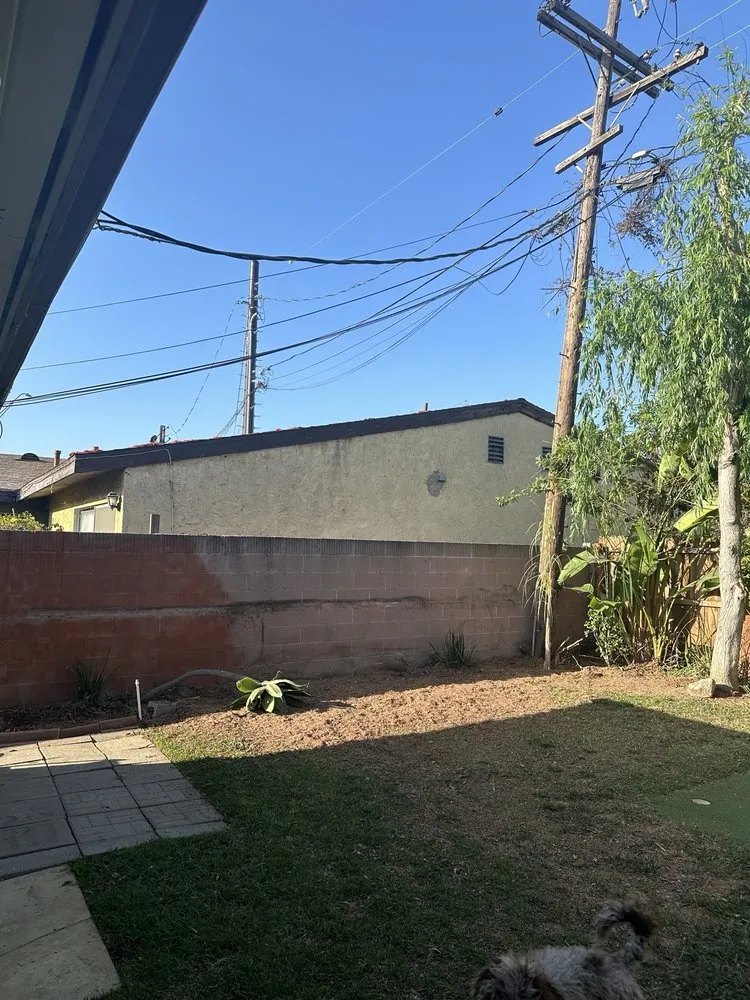 Top-rated outdoor landscaping in Gardena, CA - Palms Tree Care