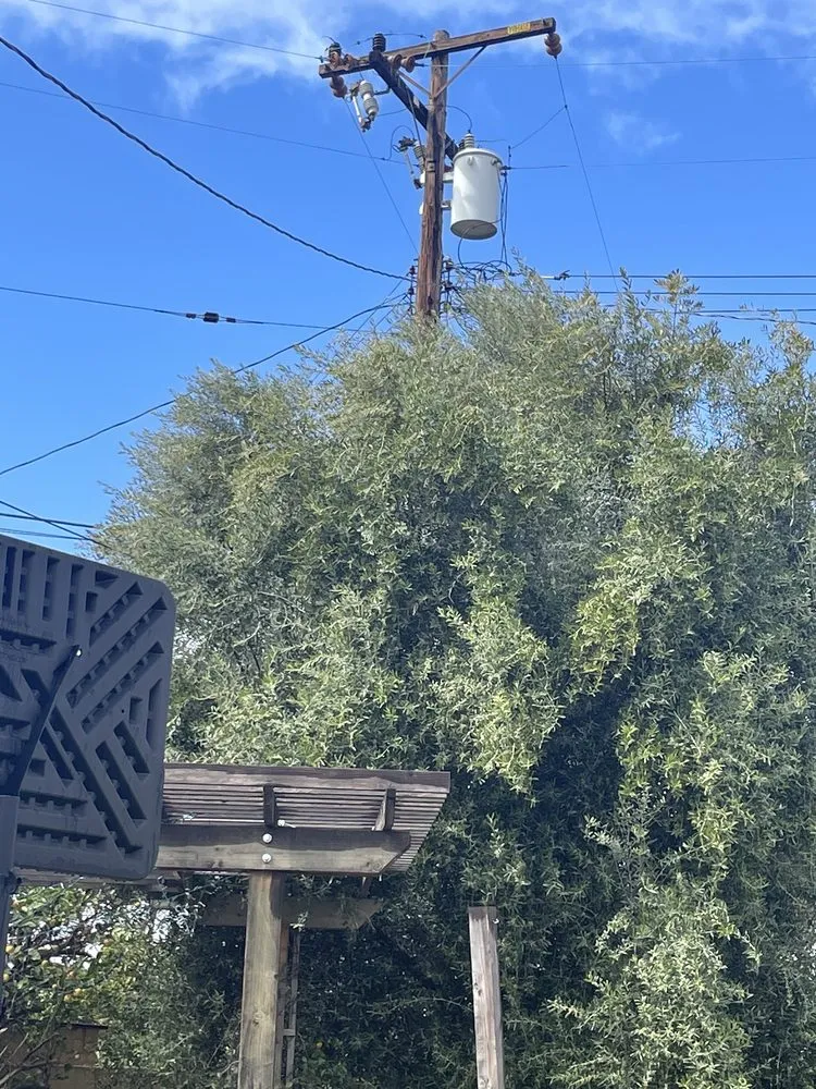 Trusted lawn mowing service in Gardena, CA - Palms Tree Care