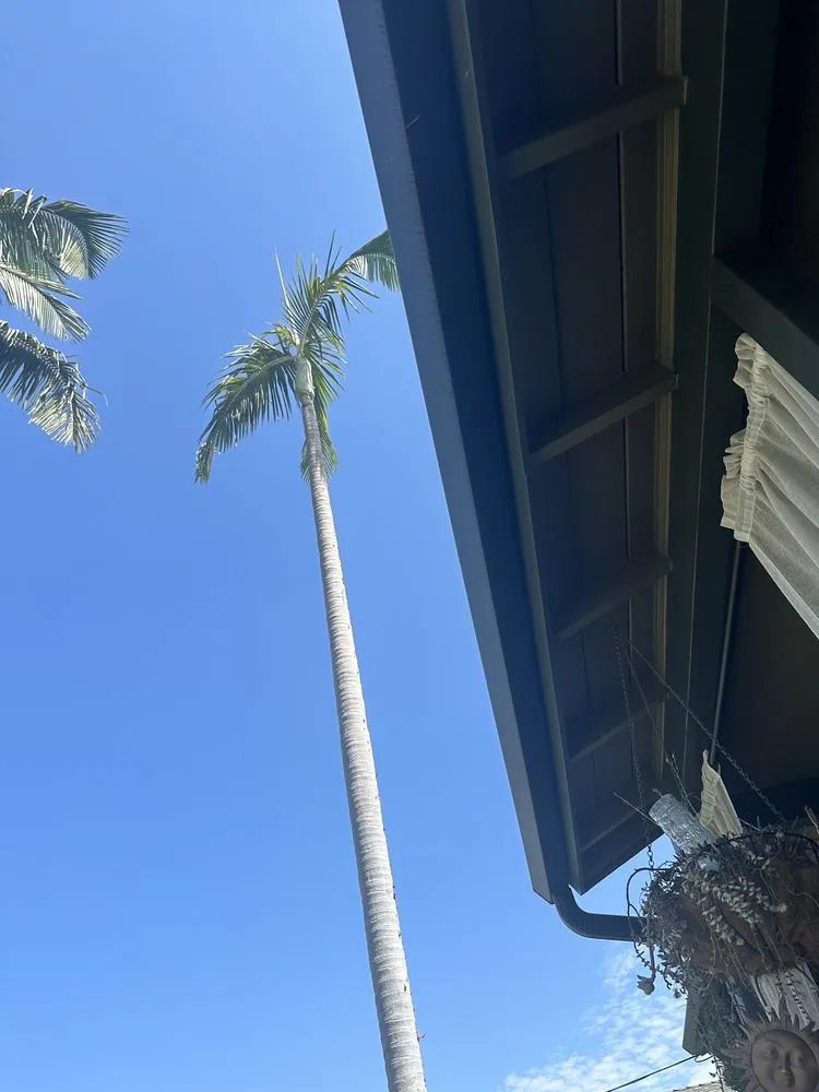 Local lawn mowing service experts serving Gardena, CA - Palms Tree Care