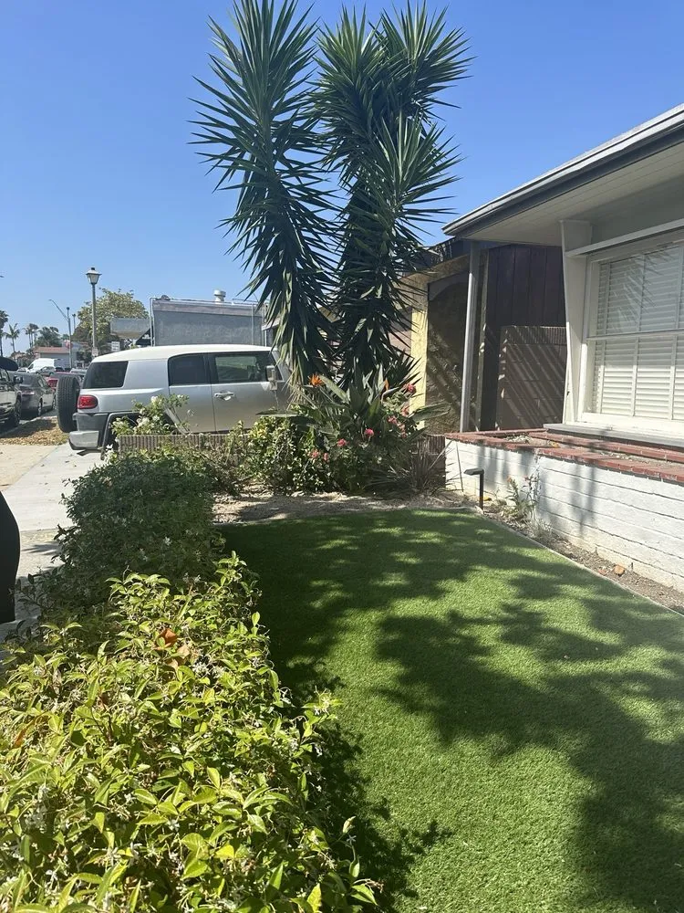 Reliable lawn care service in Gardena, CA by Palms Tree Care