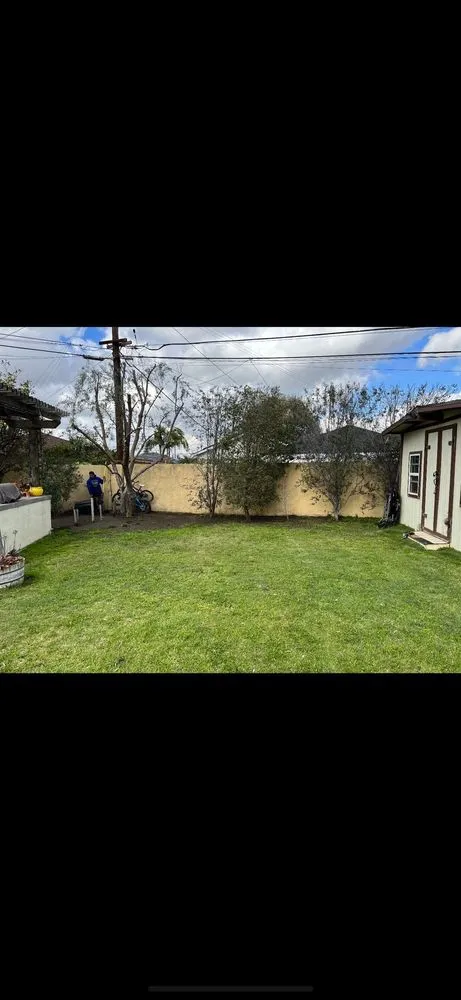 Expert garden landscaping experts serving Gardena, CA - Palms Tree Care